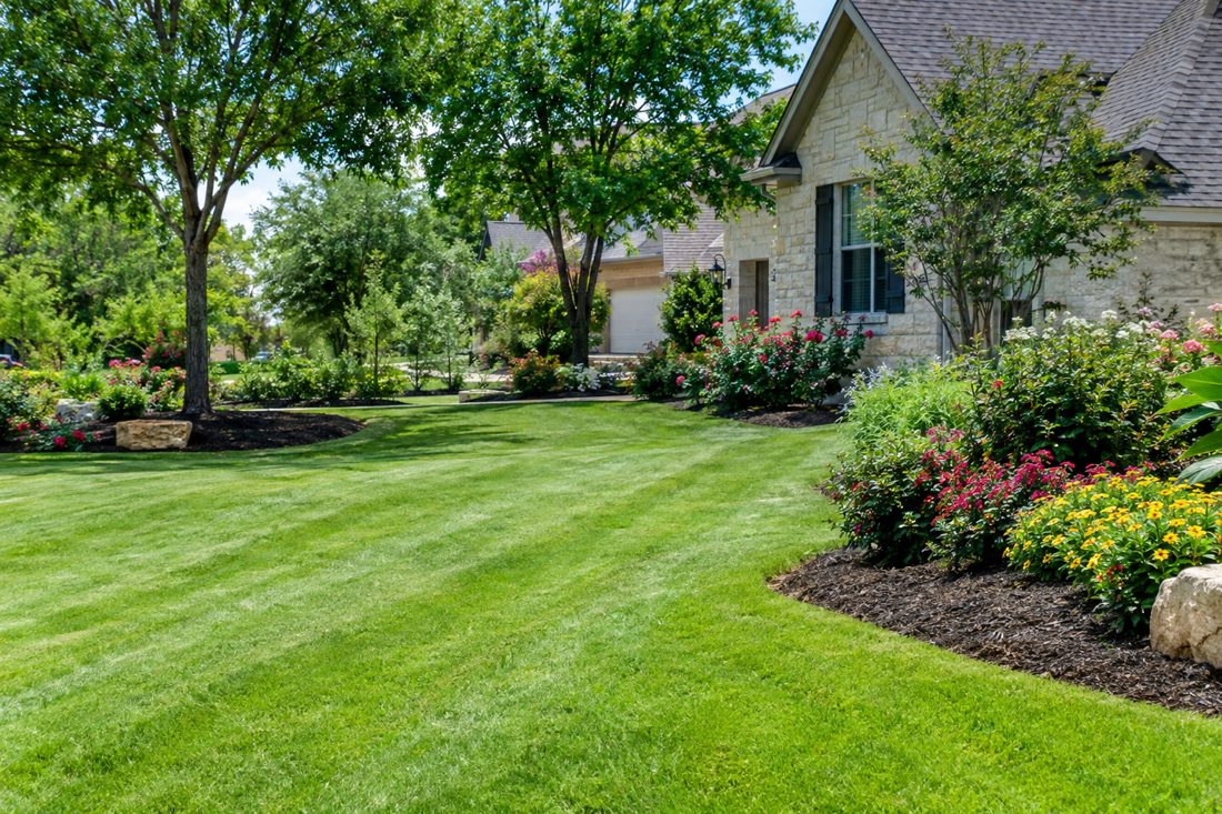 Freshly mowed green lawn with mulched flower beds